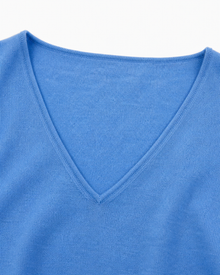 Superfine Merino V-Neck Knit Top